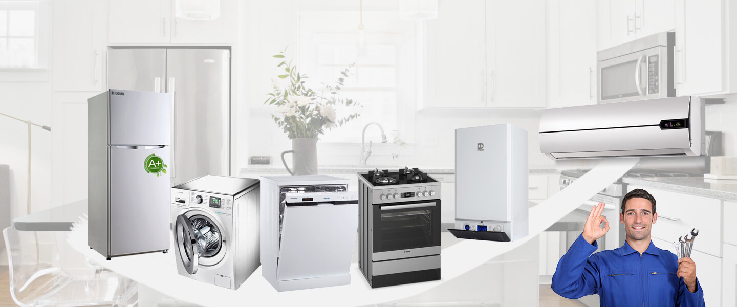 Dilovası Philips Servisi